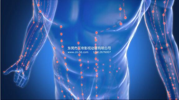 人体静动脉3D动画视频