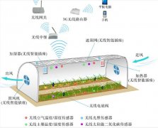 智慧农业就是将物联网技术运用到传统农业中去，运用传感器和软件通过移动平台或者电脑平台对农业生产进行控制，使传统