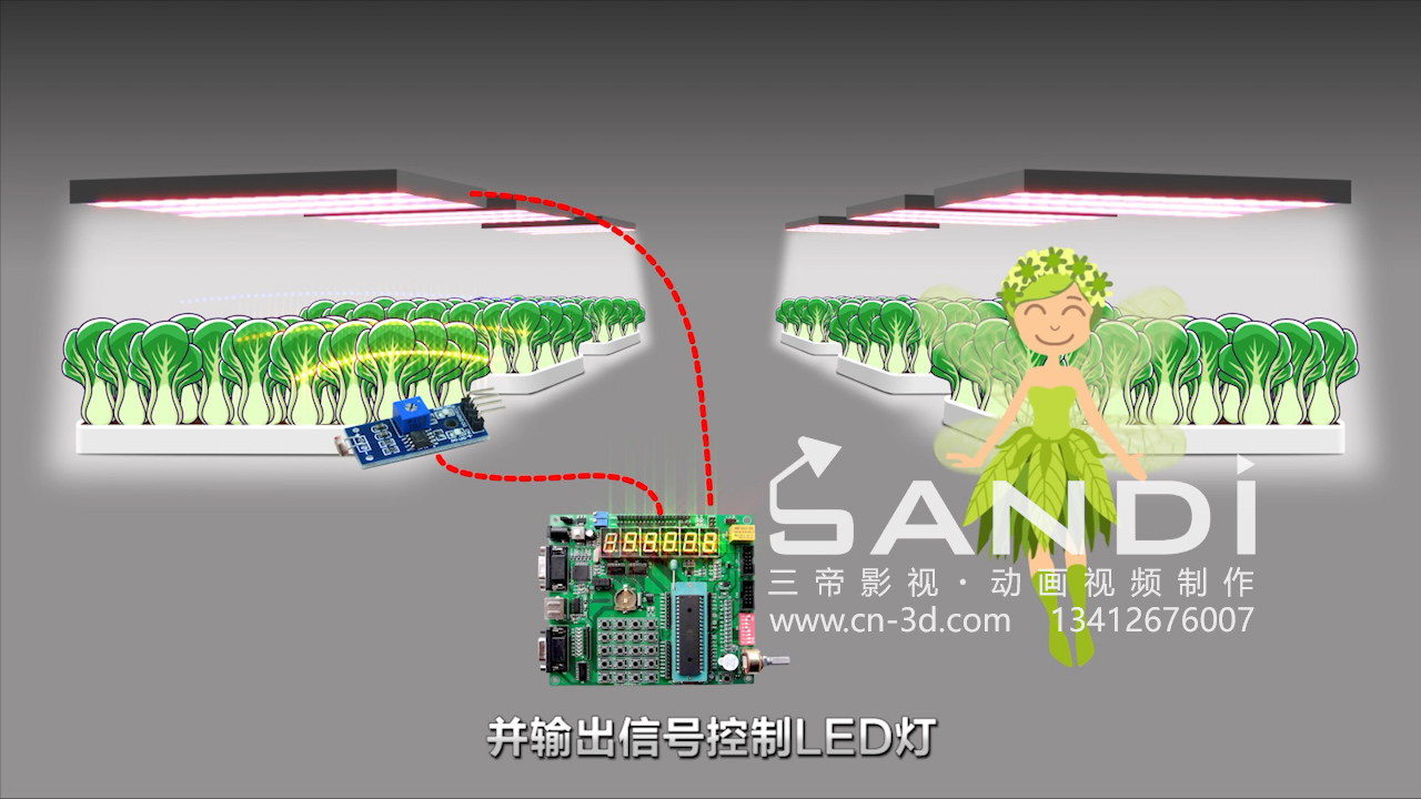 植物光环境调控动画